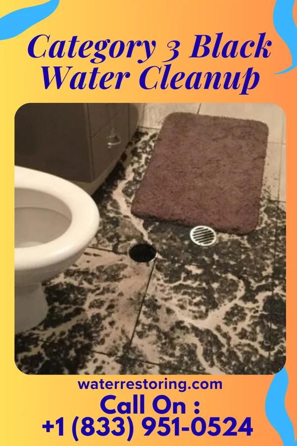 Category 3 Black Water Cleanup in Pleasant Valley, OR